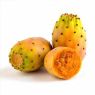 ⁦الواح تين شوكي⁩ - الصورة ⁦2⁩