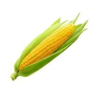 ⁦ذره صفراء 9 حبات⁩ - الصورة ⁦2⁩