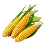 ذره صفراء 9 حبات