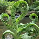 نانسويره فزمي