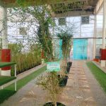 كرمونه اشكال